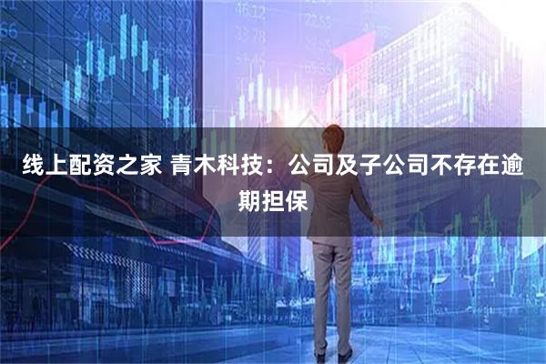 线上配资之家 青木科技：公司及子公司不存在逾期担保